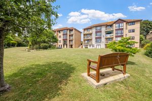 Photo 21- click for photo gallery